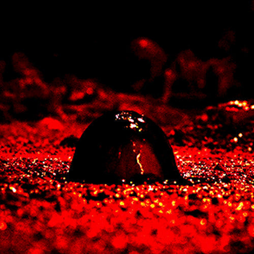 🎣 Why the 1990\retro MagFish Mini Camera Is Your Secret Weapon for Viral Found Footage Horror Shorts