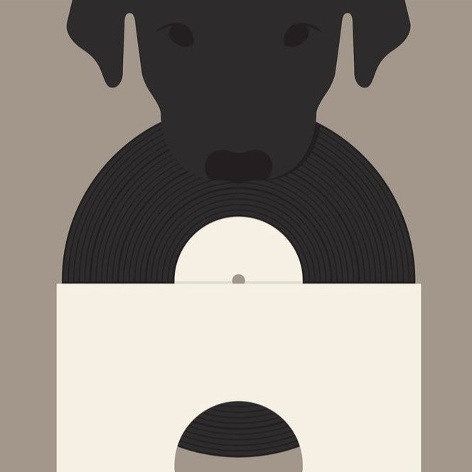 Minimalist illustration of a black dog’s head above a vinyl record, with the dog’s nose positioned near the center hole of the record, set against a simple beige background.