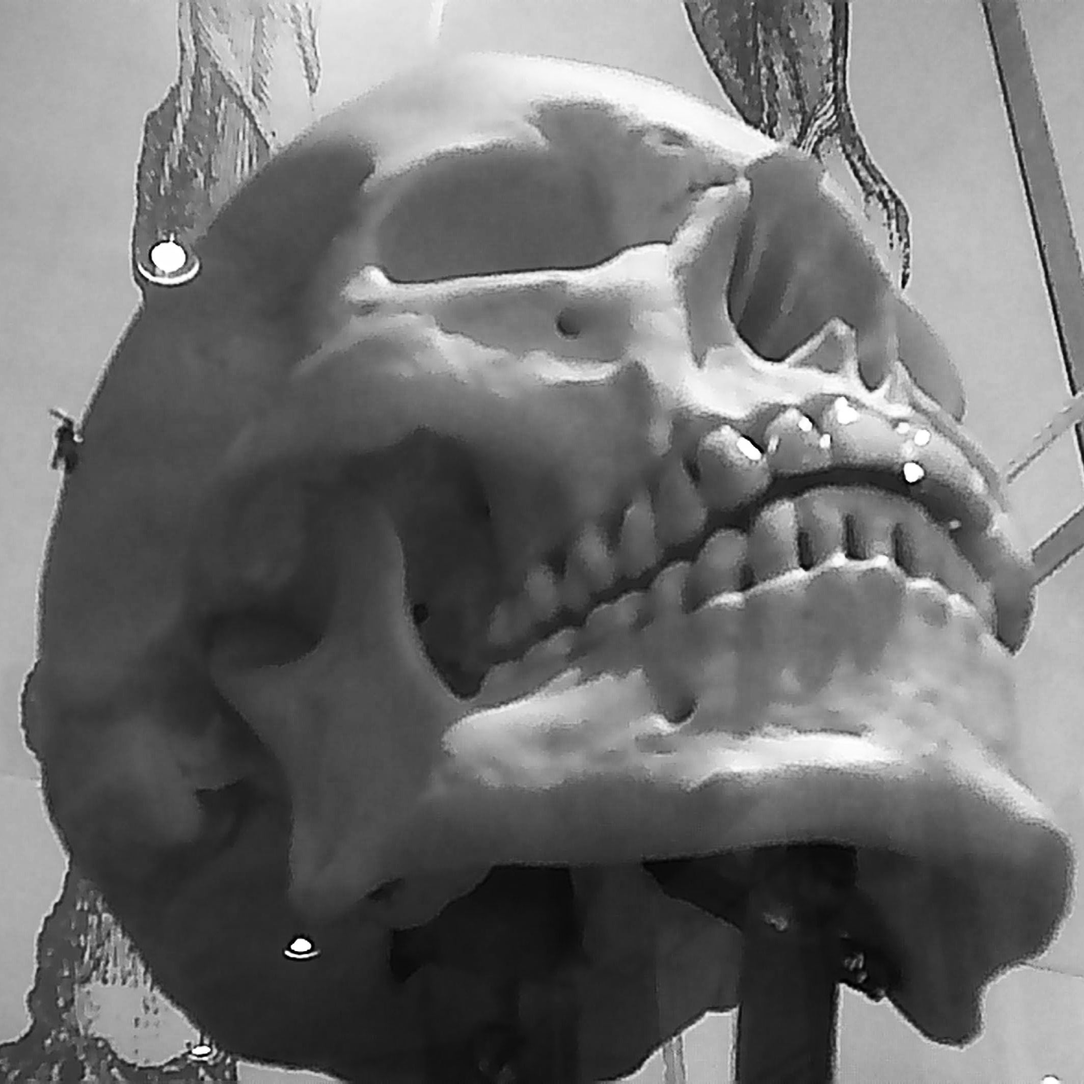 Striking black-and-white close-up of a human skull, emphasizing intricate details and evoking themes of mortality and anatomical artistry.