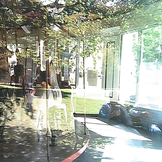 Dreamlike reflection of a vintage carousel horse seen through glass, blending outdoor greenery with nostalgic indoor charm, perfect for evoking whimsy and childhood memories.