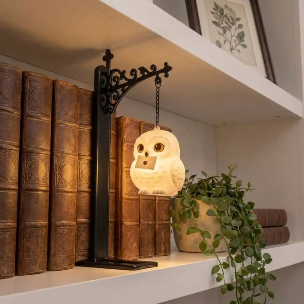 Harry Potter Book Shelf Lights