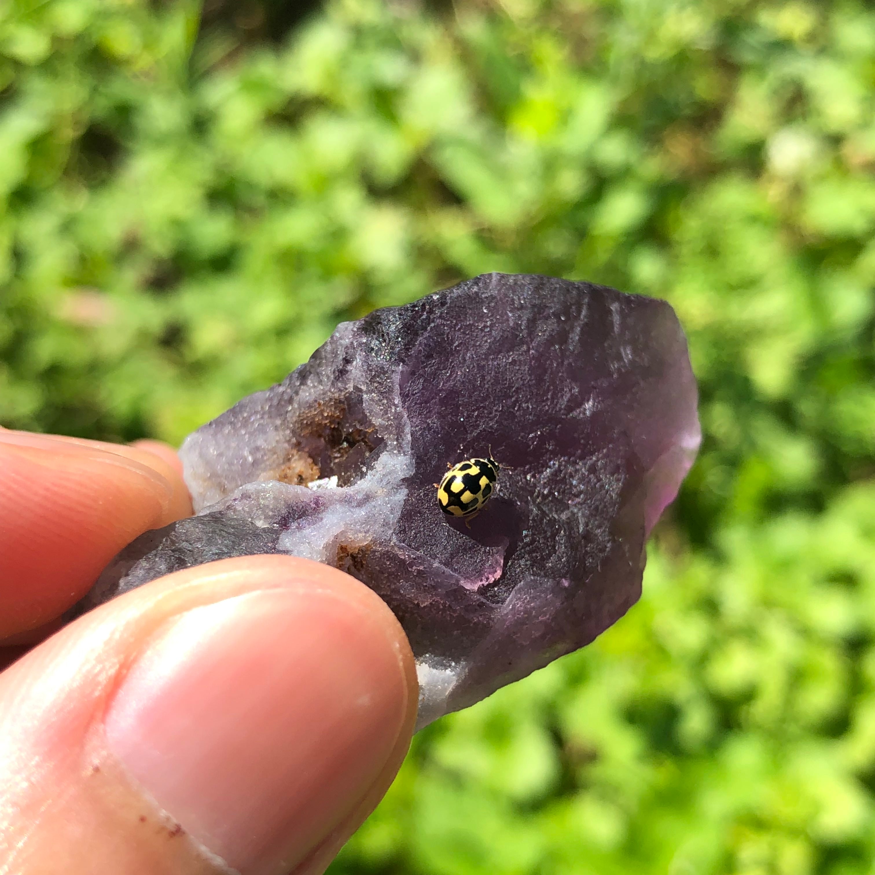 Raw Fluorite