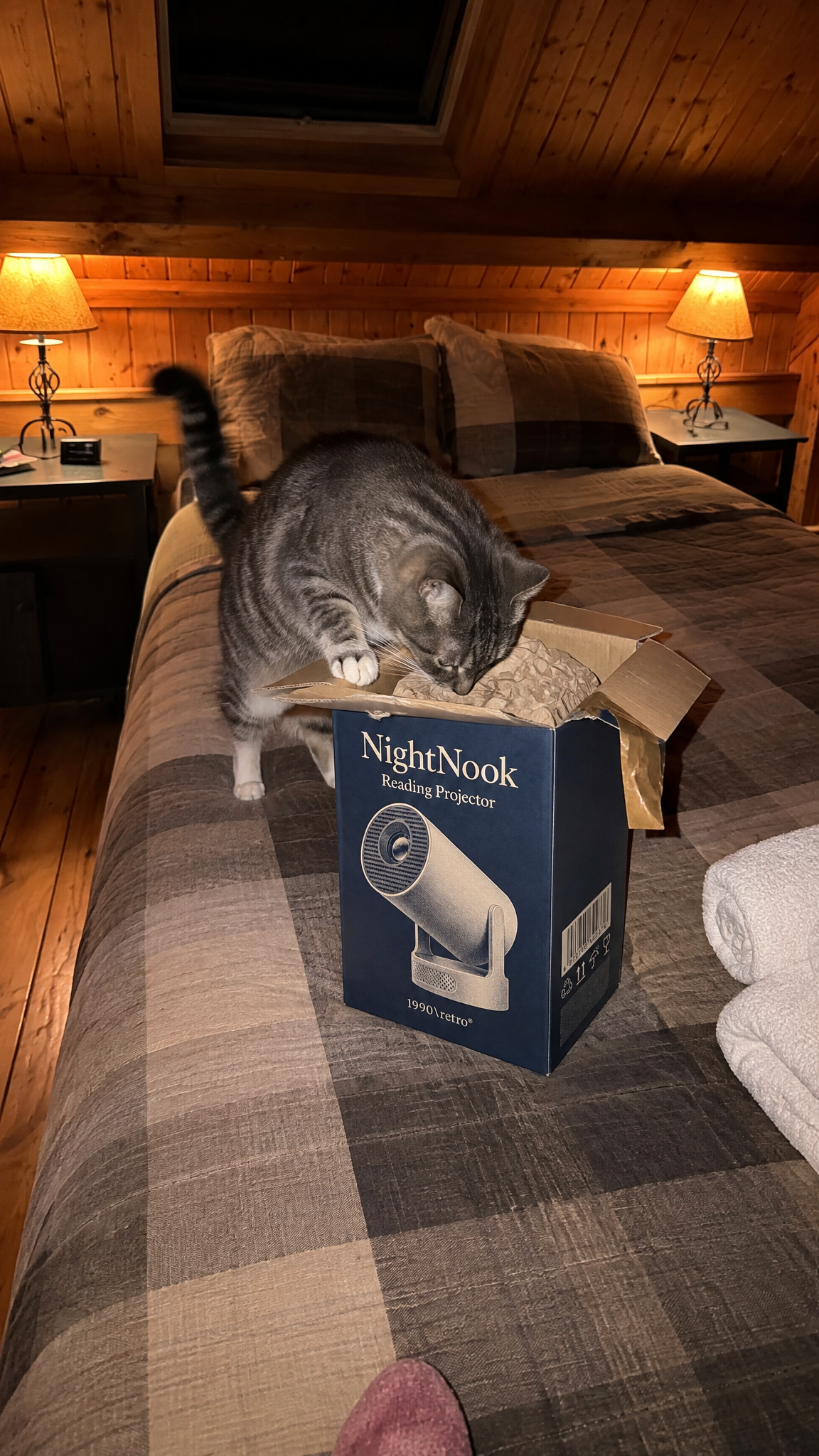 A cat with its nose in the just-opened NightNook carton on the quilt